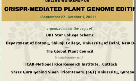 Crispr-Mediated Plant Genome Editi
