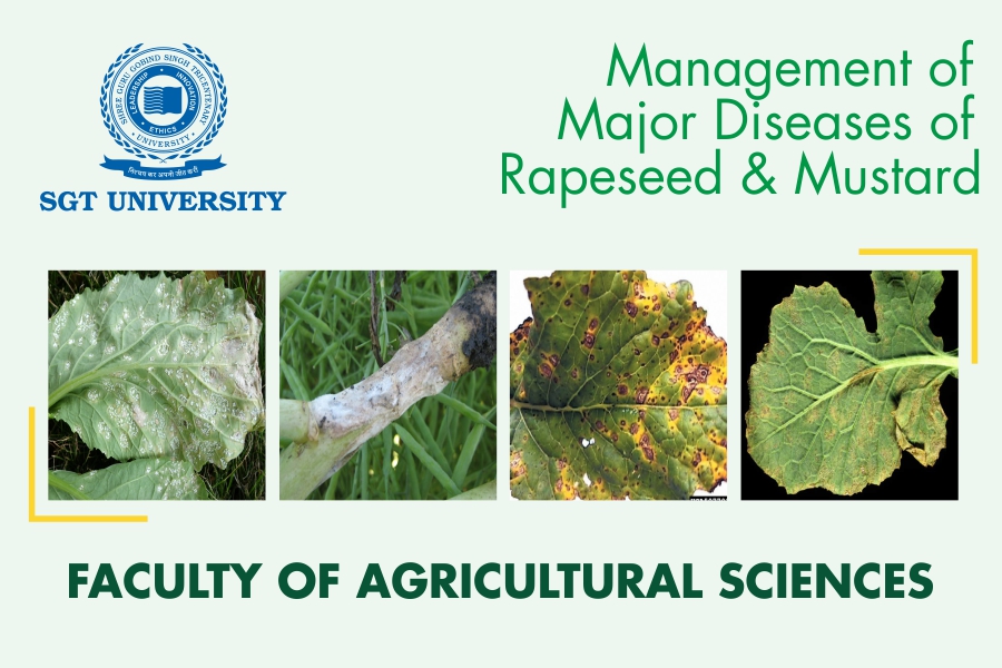 Integrated Management of Major Diseases of Rapeseed & Mustard, Faculty of Agricultural Science, SGT University