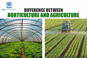 Difference between Horticulture and Agriculture